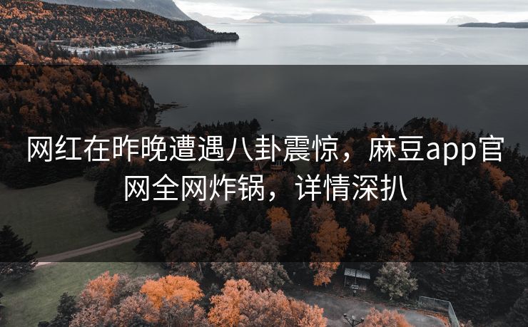 网红在昨晚遭遇八卦震惊，麻豆app官网全网炸锅，详情深扒